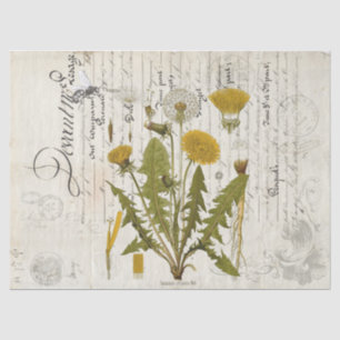 Löwenzahn-Eintagsfliege-LandschaftDecoupage Gewebe Seidenpapier