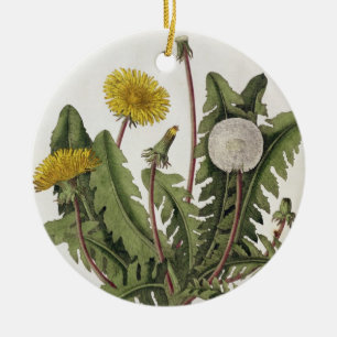 Löwenzahn (Farbstich) Keramikornament