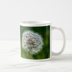Löwenzahn in der Tasse