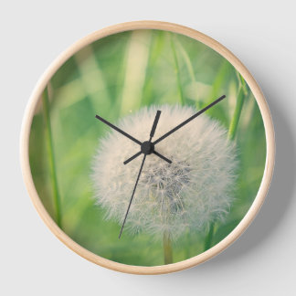 Löwenzahn in einem Märchen Uhr