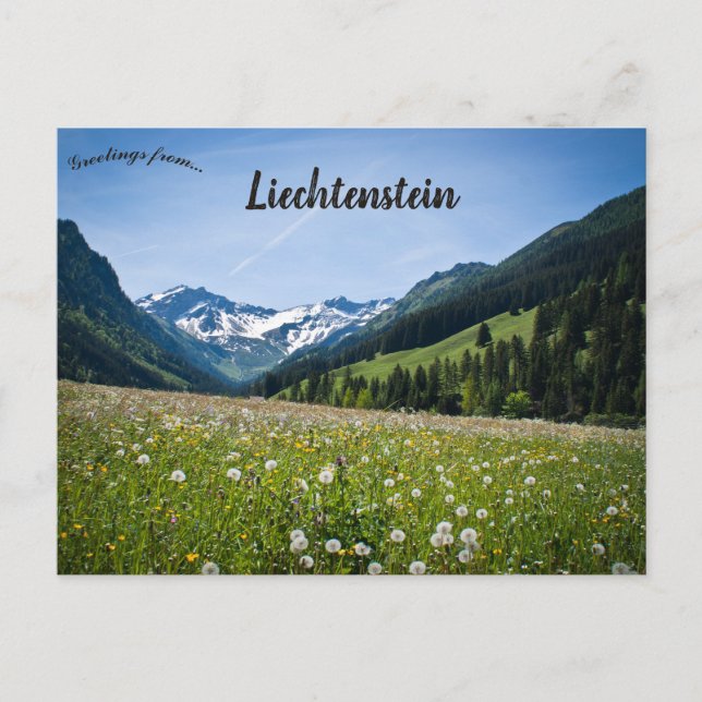 Löwenzahn in Steg Liechtenstein Postkarte (Vorderseite)