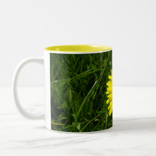 Löwenzahn, Pissenlit Zweifarbige Tasse