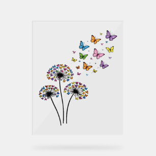 Löwenzahn Schmetterlingsblüte Acrylschild