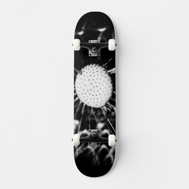 Löwenzahn schwarz skateboard (Vorderseite)
