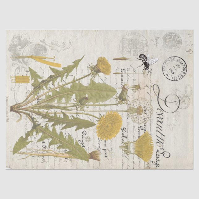 Löwenzahn-Script-Decoupage-Tissue-Bögen Seidenpapier (Vorderseite)