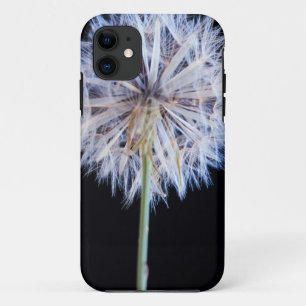 Löwenzahn (Taraxacum Officinale) Samenstand Case-Mate iPhone Hülle