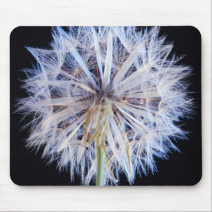 Löwenzahn (Taraxacum Officinale) Samenstand Mousepad