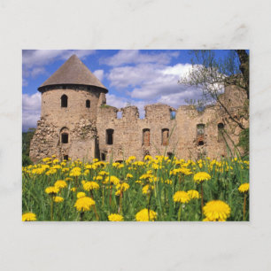 Löwenzahn umgibt Cesis Castle in Mittel Postkarte