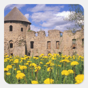 Löwenzahn umgibt Cesis Castle in Zentral Quadratischer Aufkleber