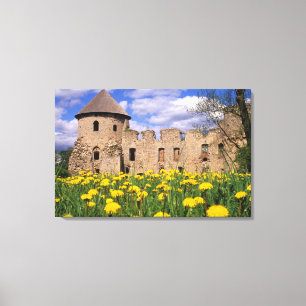 Löwenzahn umgibt Cesis Schloss in Zentral Leinwanddruck
