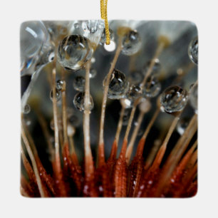 Löwenzahn und Wassertropfen, CA Keramikornament