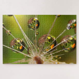 Löwenzahn und Wassertropfen Puzzle