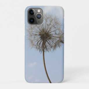 Löwenzahn unter dem Frühlingshimmel Case-Mate iPhone Hülle