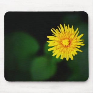 Löwenzahnblumen-Mauspad Mousepad