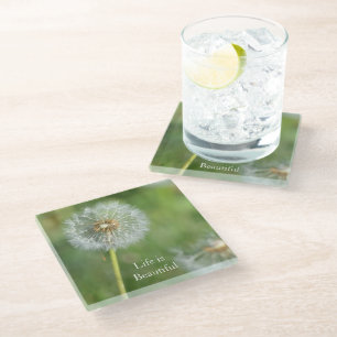 Löwenzahnblüte (Foto von mir) Glasuntersetzer