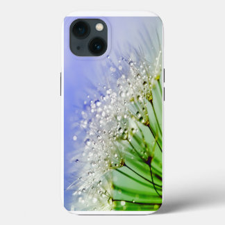 Löwenzahnsamen mit Tautropfen iPhone 13 Hülle
