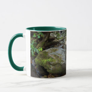 Lower Dark Hollow Falls, Shenandoah Tasse