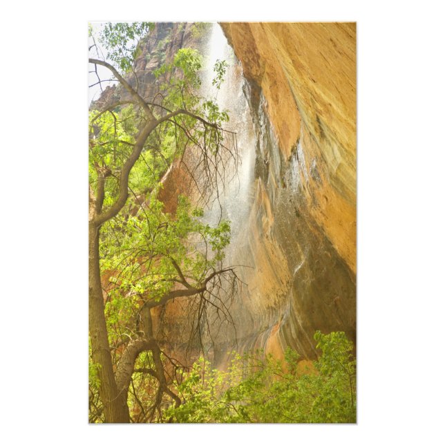 Lower Emerald Pool Wasserfall Roter Felsen und Bau Fotodruck (Vorne)