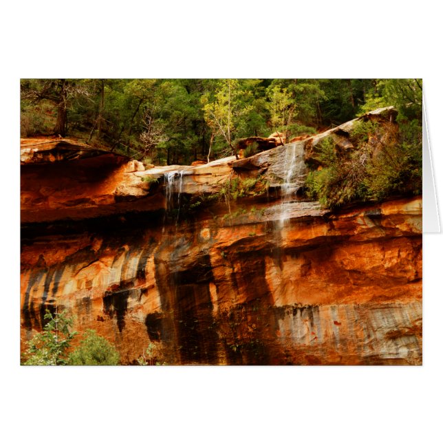 Lower Emerald Pools Zion National Park Utah Blank (Vorderseite (Horizontal))