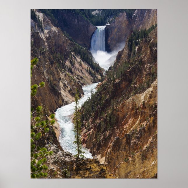 Lower Falls Yellowstone Poster (Vorne)