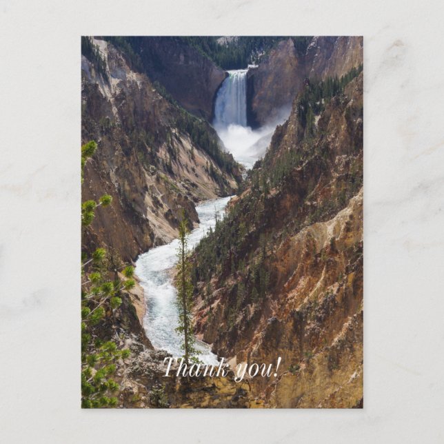 Lower Falls Yellowstone Postkarte (Vorderseite)