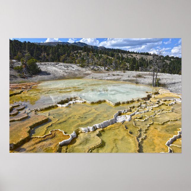 Lower Minerva Terrace, Yellowstone-Nationalpark Poster (Vorne)