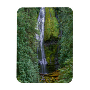 Lower Proxy Falls Willamette National Forest Magnet