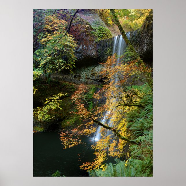 Lower South Falls Poster (Vorne)