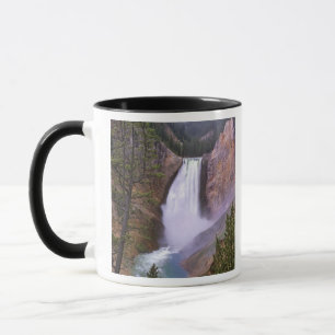 Lower Yellowstone Falls, Grand Canyon von Tasse