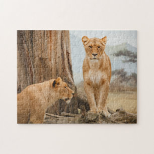 Löwinnen, die bei toten Bäumen spazieren Puzzle