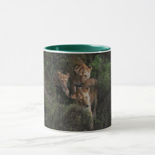 Löwinnen und ein Löwenjunges kommen durch die Strä Tasse