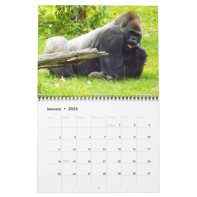 Lowland Gorillas, Zoo von Kansas Kalender (Jan 2026)