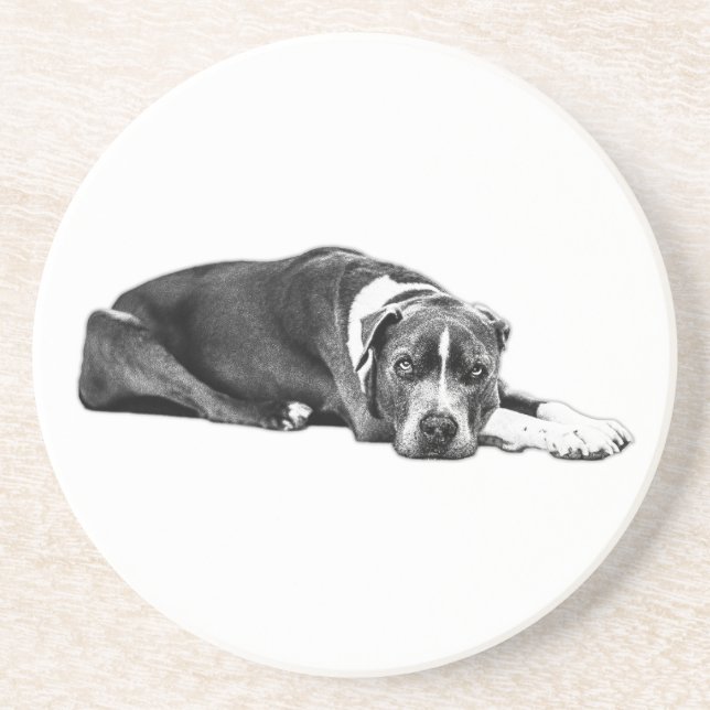 Loyal Companion Pitbull Mix Art Untersetzer (Vorne)