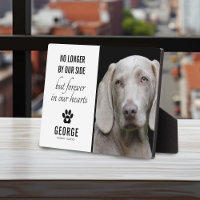 Loyal Hund nicht mehr von unserer Seite | FOTO