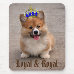 Loyal und Royal Corgi Puppy Foto Mousepad