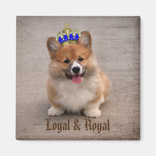 Loyal und Royal Corgi Puppy Magnet