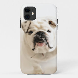 Loyale weiße Bulldoggen-Fotografie Case-Mate iPhone Hülle