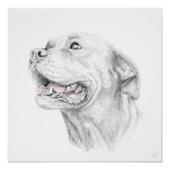 Loyalität, ein amerikanischer Staffordshire Terrie Poster (Vorderseite)