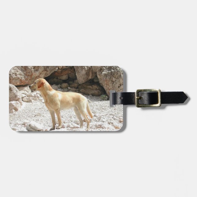 LR gelbe Labrador voll Gepäckanhänger (Vorderseite horizontal)