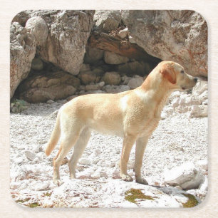 LR gelbe Labrador voll Rechteckiger Pappuntersetzer