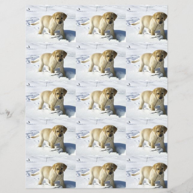 LR gelbe Labrador Welpe im Schnee (Vorderseite)