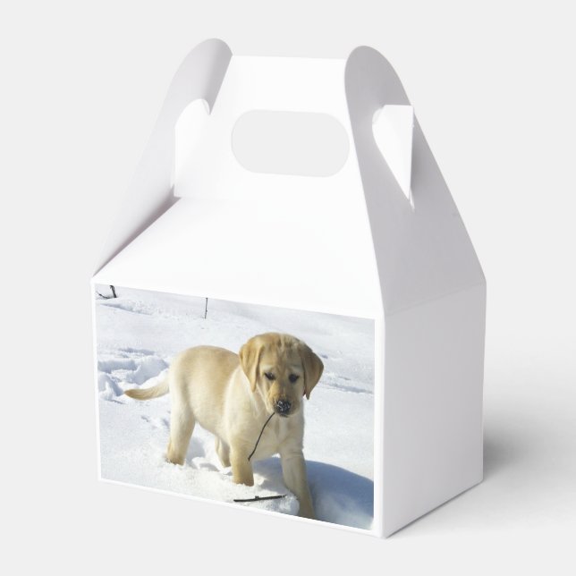 LR gelbe Labrador Welpe im Schnee Geschenkschachtel (Vorderseite)