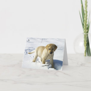 LR gelbe Labrador Welpe im Schnee Karte