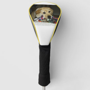 LR gelbe Labrador Welpe mit Spielzeug Golf Headcover