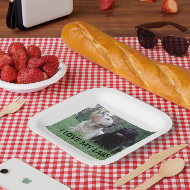 LR I Liebe meine Labradore mit Bild Pappteller (Picknick)