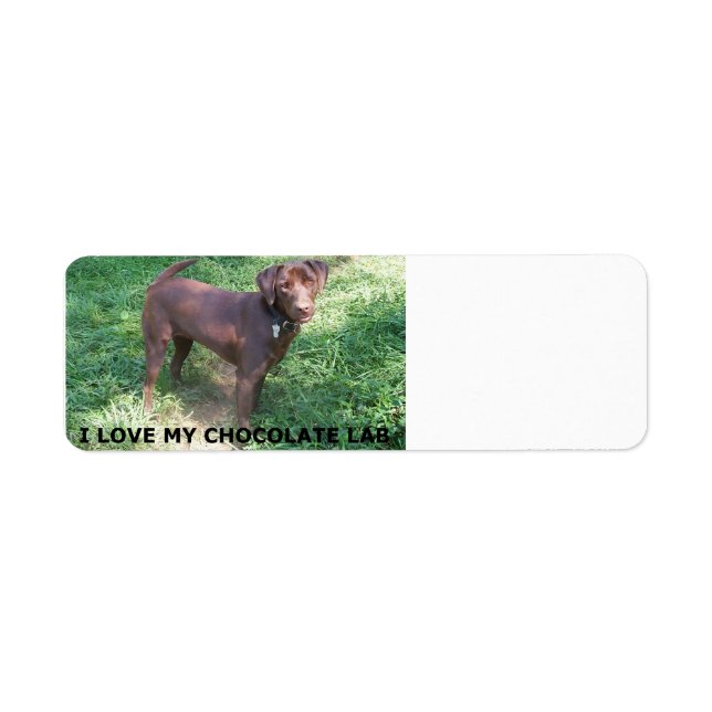 LR Schokolade Labrador Liebe mit Bild (Vorne)
