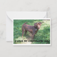 LR Schokolade Labrador Liebe mit Bild