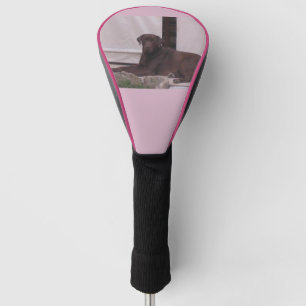 LR Schokoladenlegen Labrador Golf Headcover