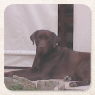 LR Schokoladenlegen Labrador Rechteckiger Pappuntersetzer
