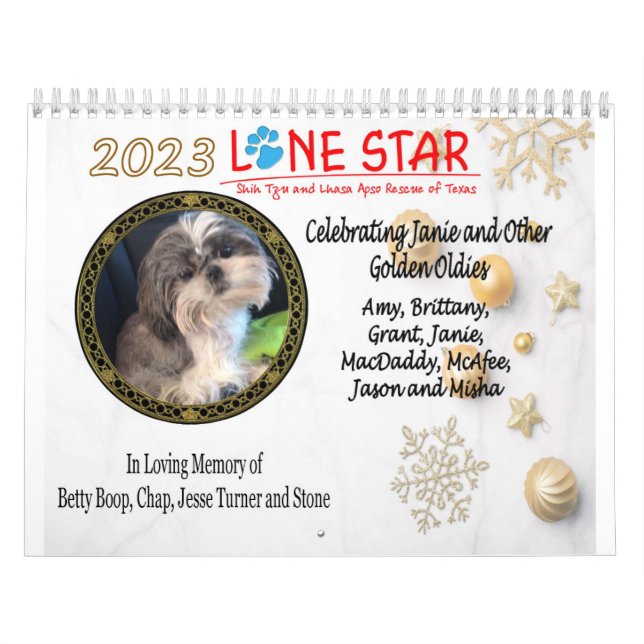 LSSTLAR-Kalender 2023 Kalender (Titelbild)